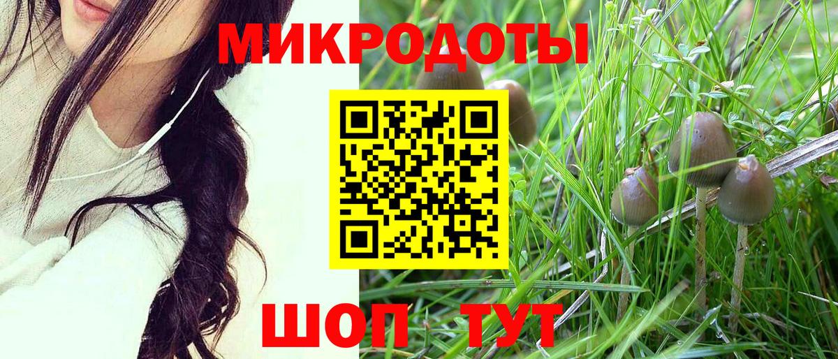 Галлюциногенные грибы прущие грибы  Псилоцибиновые грибы ЛСД  Вход с VPN  Кстово 